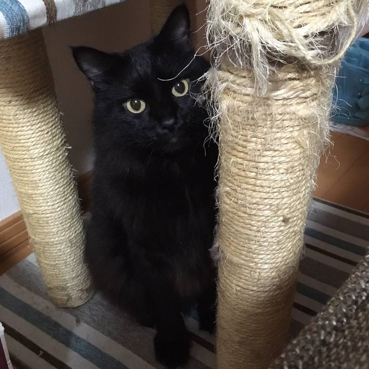 Ed543962 20cf 4157 ac7a 02349592a19b