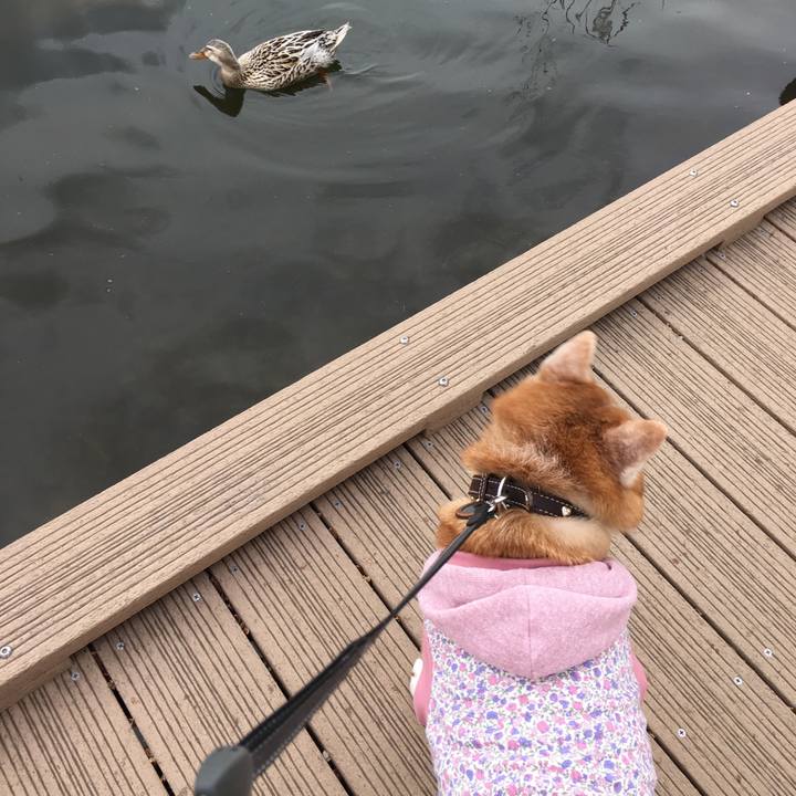 Ed54a84b 5add 4cad be0c 53b6eb19f7a2