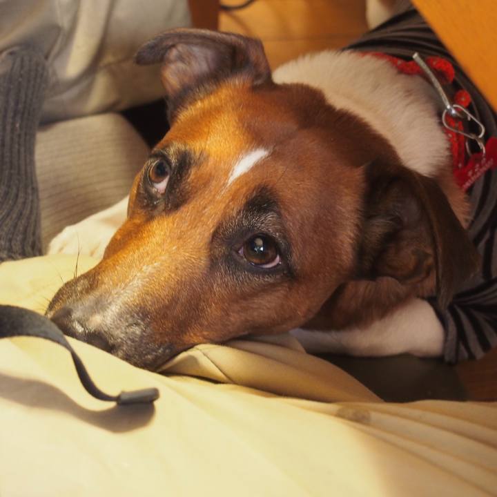 Ed550b25 3081 4727 8508 4699527c458e