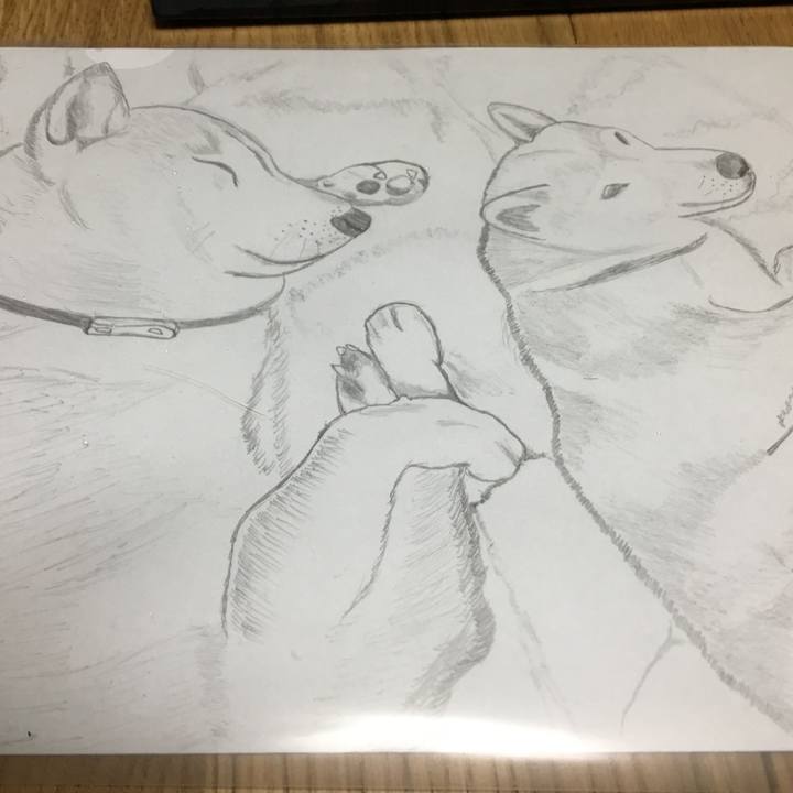 Ed55e87a f879 4918 bcd1 17b7a095a922