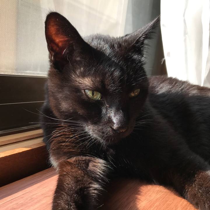 Ed579183 4494 4ce7 ad87 81142883674b