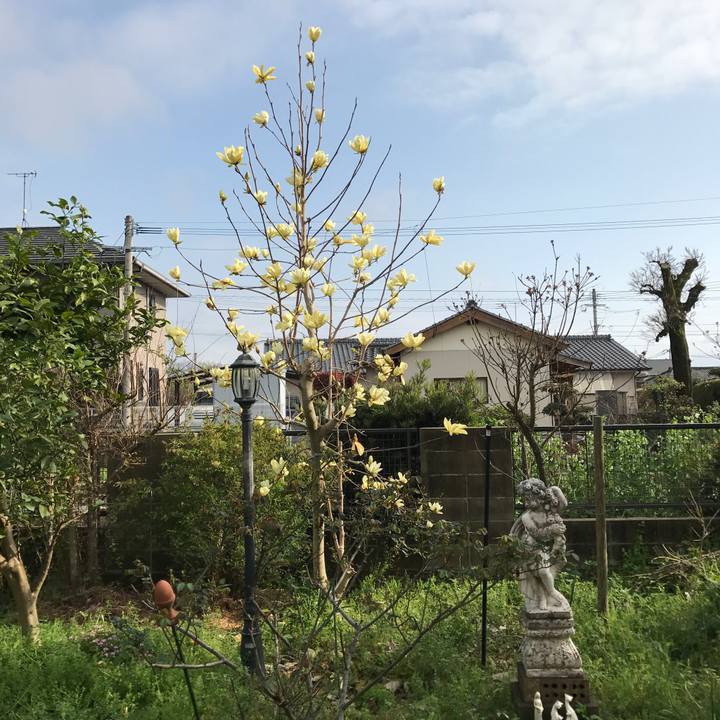 Ed581f93 6067 4bfb 8b9c 8a7ef179dffe