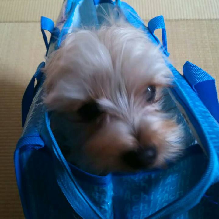 Ed590bd7 c228 4b83 8172 e53cb46169ad