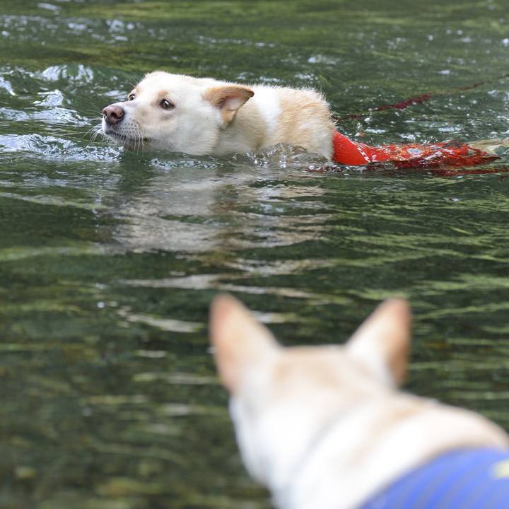 Ed59369e 83c8 4532 8045 e6ad77338609