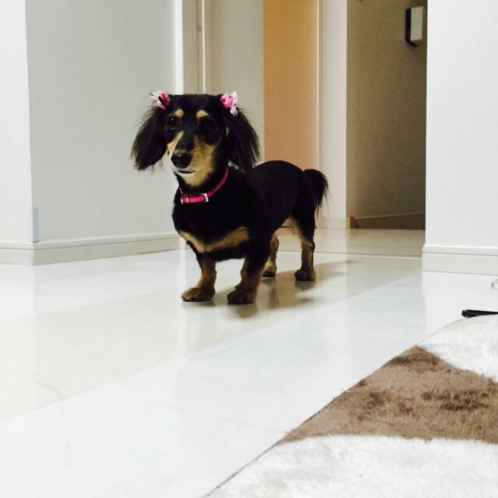 Ed59b147 1fa8 4057 9510 2a6c89ec3764