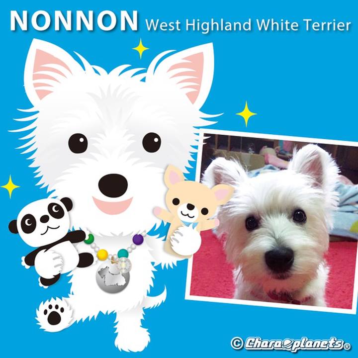 Ed59b233 00de 41ab b024 43f5e3dc2f8a