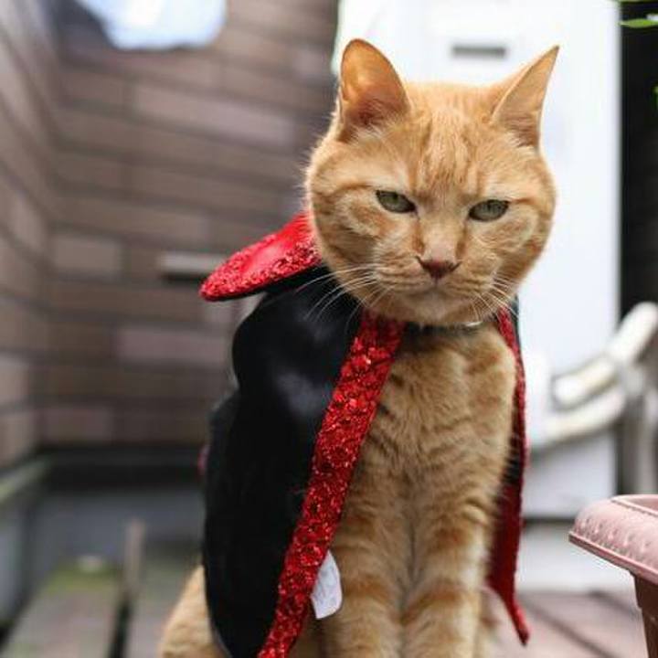 Ed59ce8a b33c 42f8 9be7 e698e9d6fa88