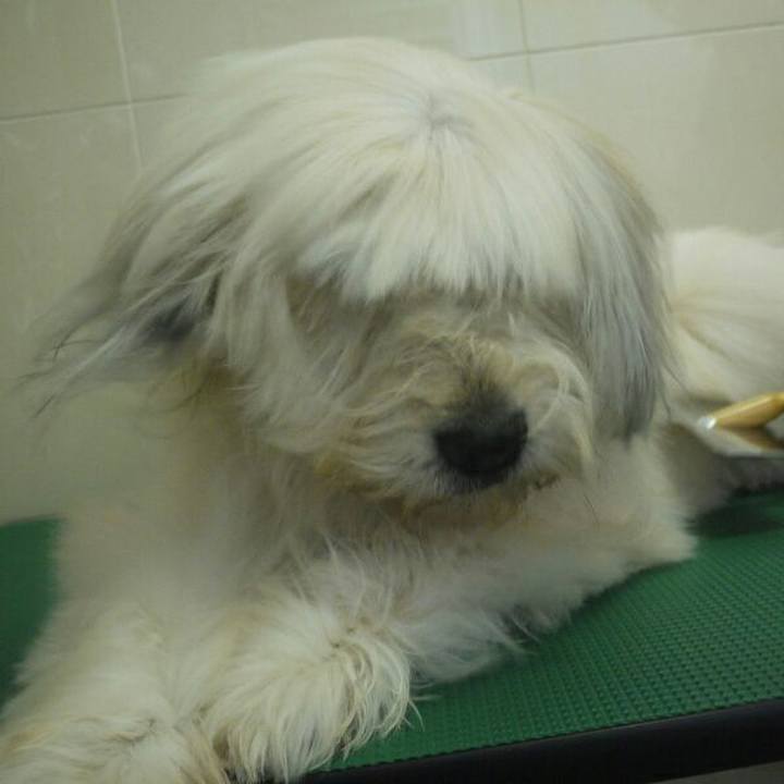 Ed5a11d5 d8a2 4e0d 99b0 c4932ba49447