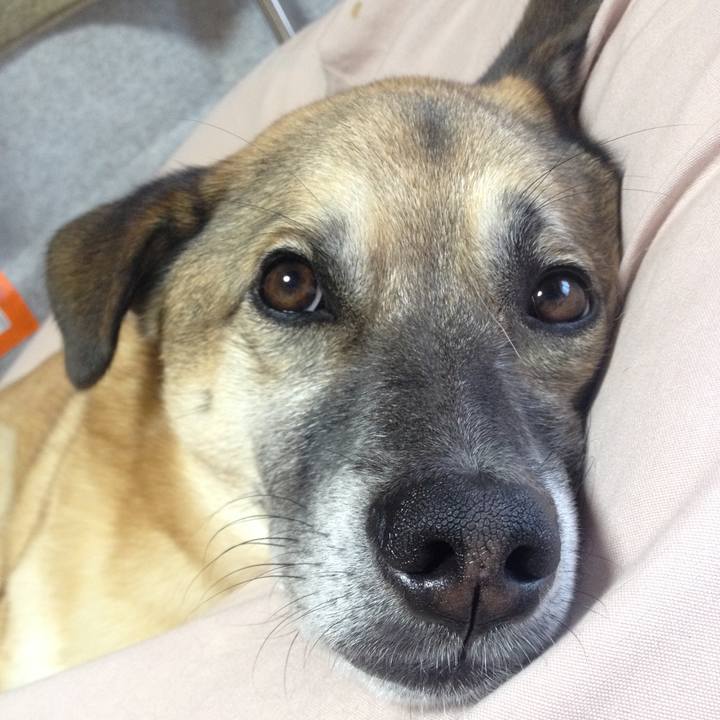 Ed5a4b60 f663 4d72 a7d2 b28e7e16b622