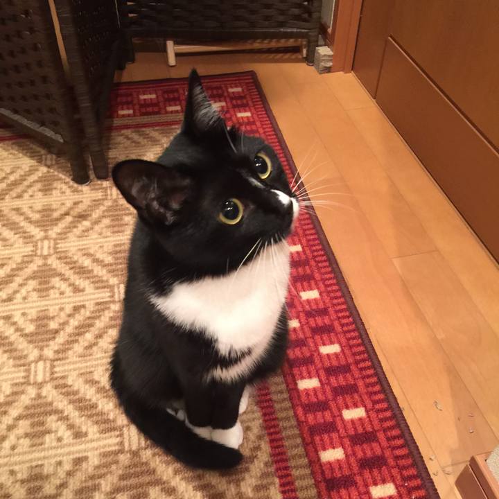 Ed5aff1a d8ae 4a0f b035 d84db8e69cce