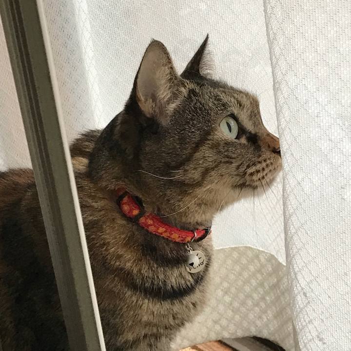 Ed5b5969 5808 4299 9aac 6c33b9af5539