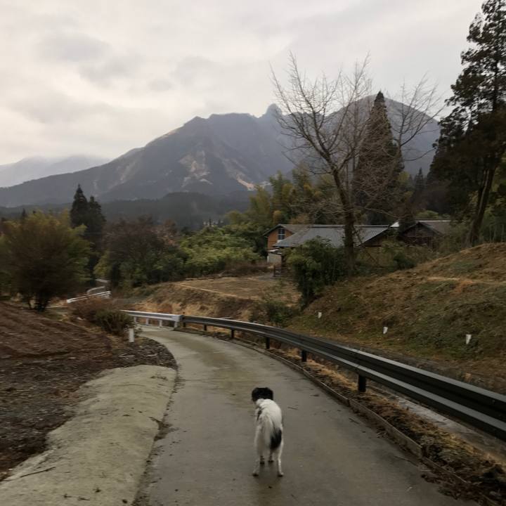 Ed5c2cd3 b9b3 43db 99ee 631c793b0dd9