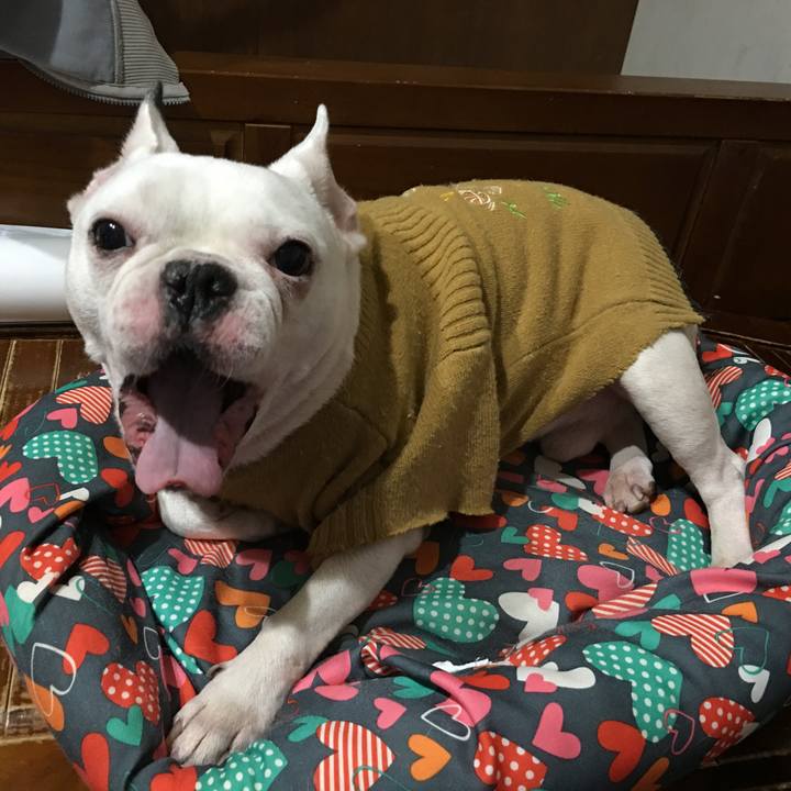 Ed5c9043 4f89 4c8b a793 4446d55322ea