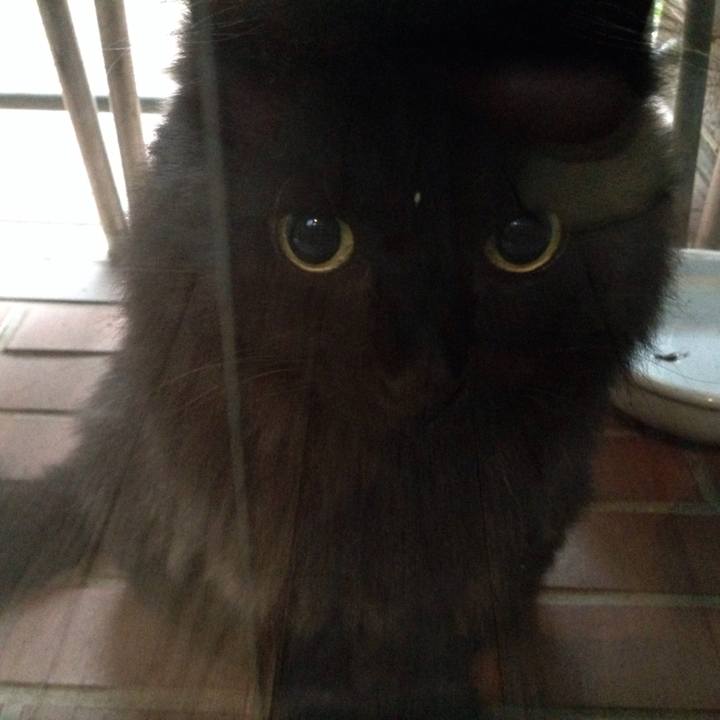 Ed5cd1b4 d5e5 485c 9808 52d111b8a1ac