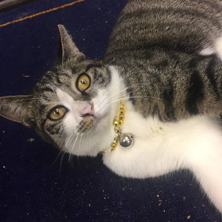 Ed5d2f8f ec44 4e74 be4d e56567e2b2a8