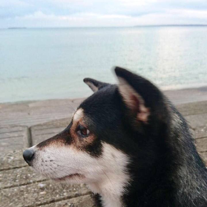 Ed5d403e e581 4895 906b ef5c60a0cfa2