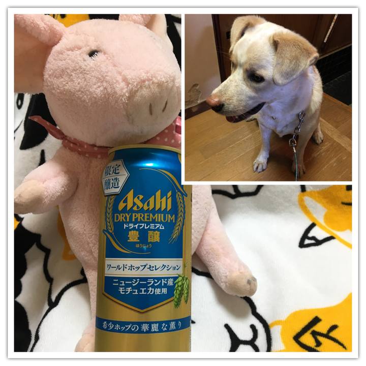 Ed5d6099 462b 4fbb 9339 e983c57f6665