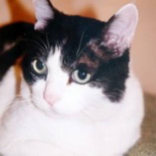 Ed5dc3d1 d688 41a2 8d81 90b483b4087f