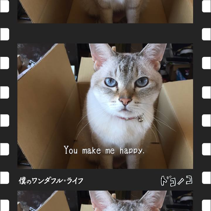 Ed5dc408 23b3 4b1e 91d5 592c25208916