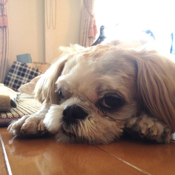 Ed5e642b 74de 4d7b 9cb7 9ad5fa76ac33