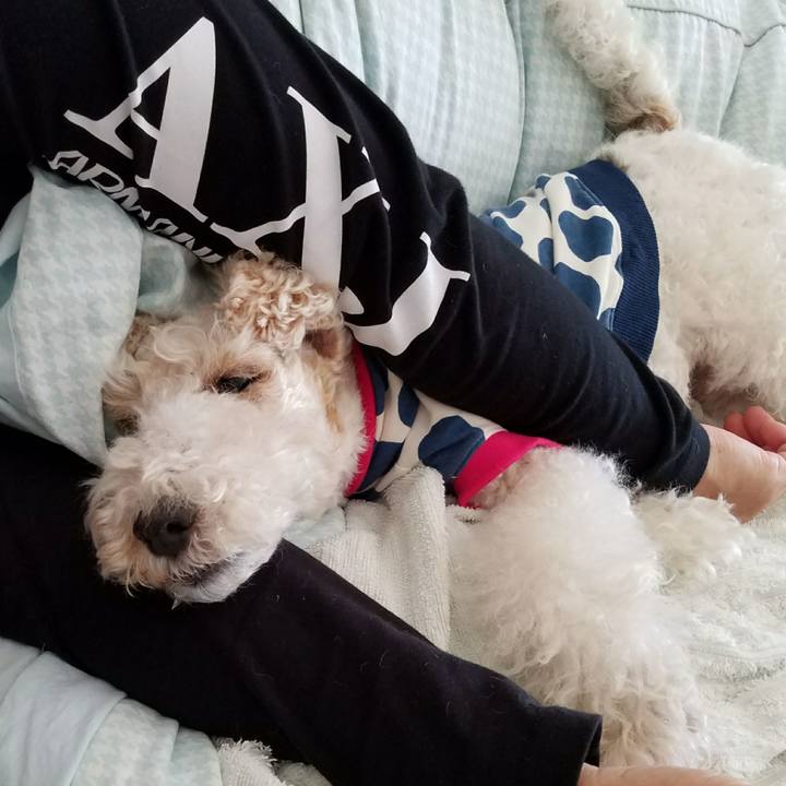 Ed5ea4f3 584d 4ac5 b859 18b357f2a274