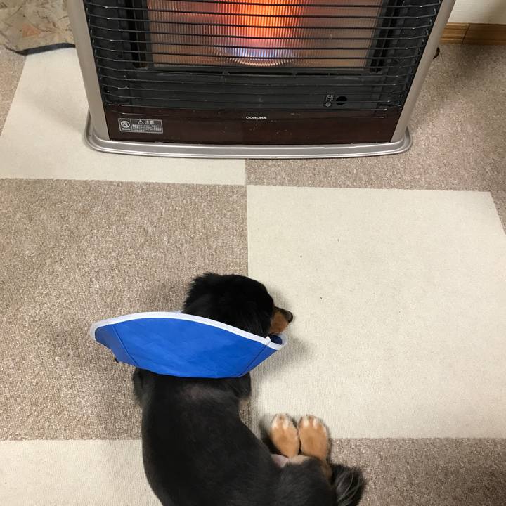 Ed5fa56b 00da 45f6 bd5f 63ea8a27c842