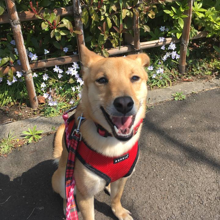 Ed5fd1fb 49d8 4631 9569 dc71c9767f9e