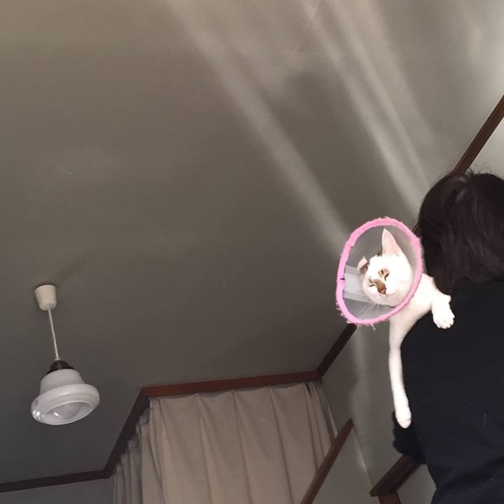 Ed5fe5df 9e99 4401 9932 dabf7c1c21bc