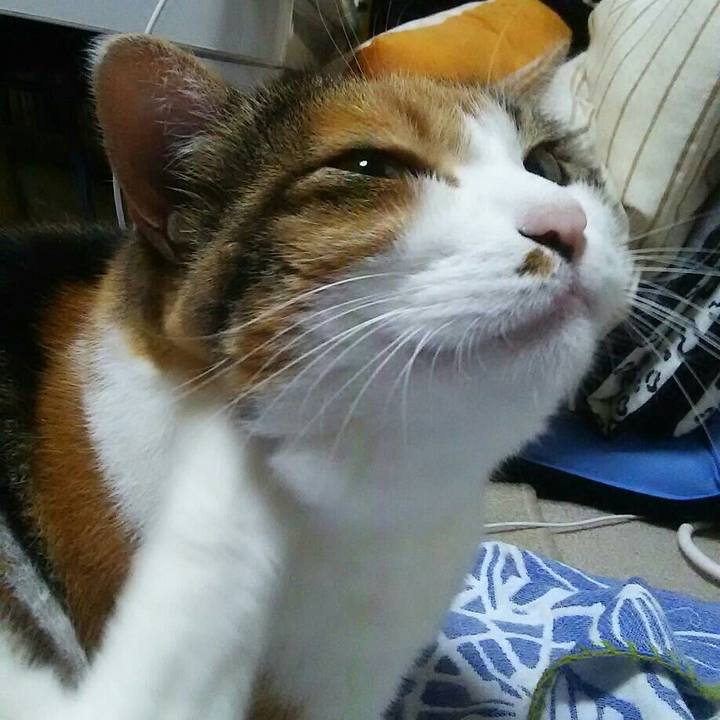 Ed6093f0 57aa 4ebd 840e 363143f86d92