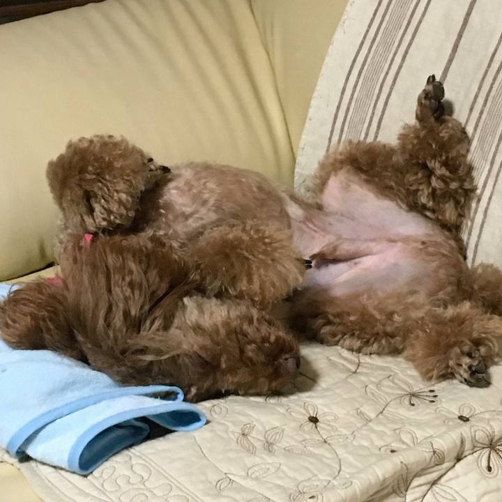 Ed60b1e3 da17 48c3 b5c8 94d97d8bb38b