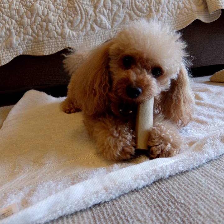 Ed626d0f 2071 4817 8e56 58d6454488d9