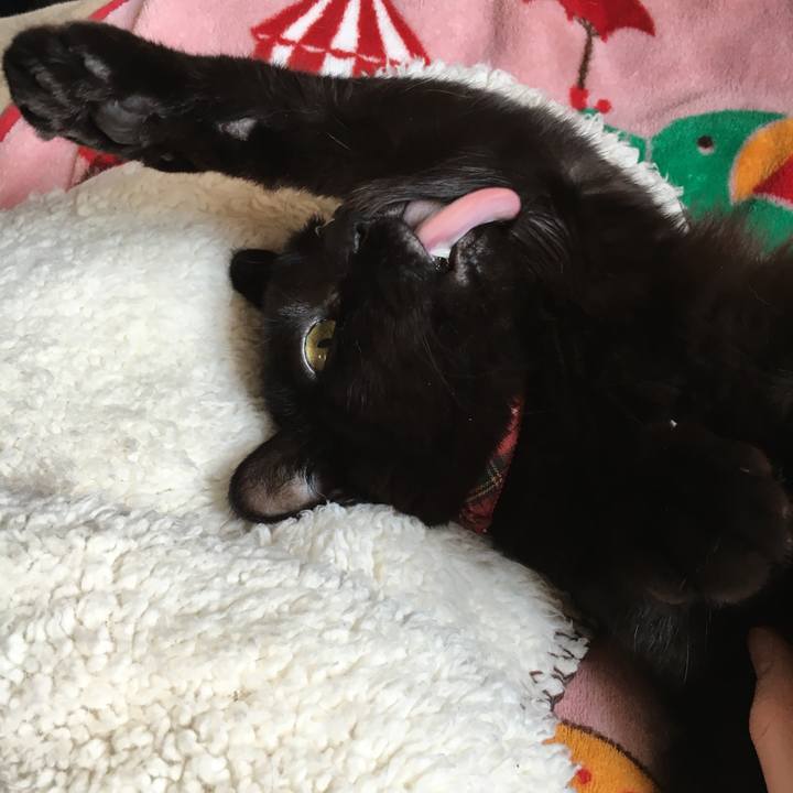 Ed62723b 3d7c 44b2 bb2e 8adc19abffb4