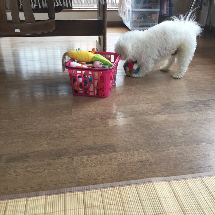 Ed63c533 4a6d 4435 9d71 c991d395c982