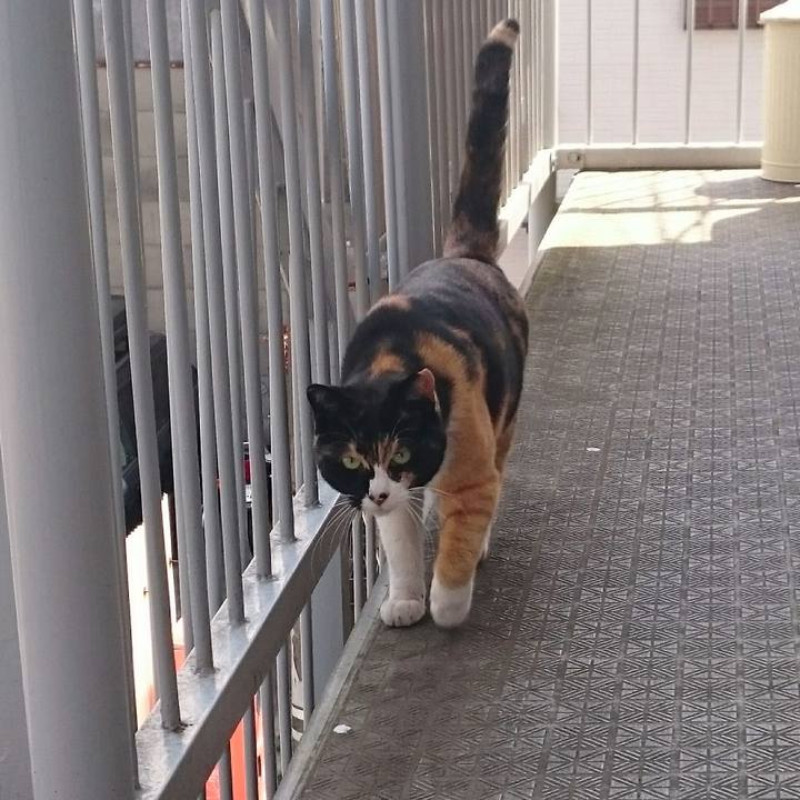 Ed63dbc7 50f9 4354 b4bb f0bbddc57acf