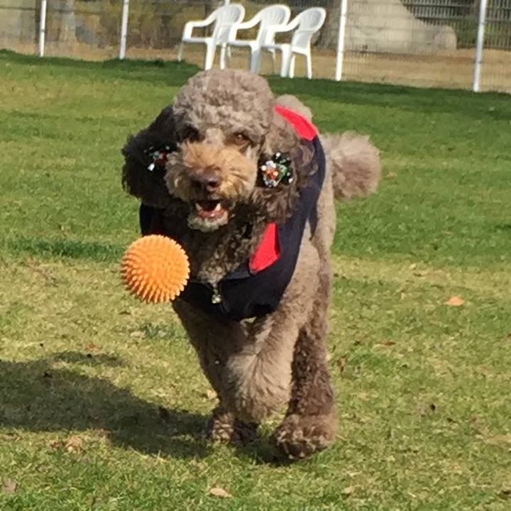 Ed6406dd cc5d 487d ba42 732073d8f1c6