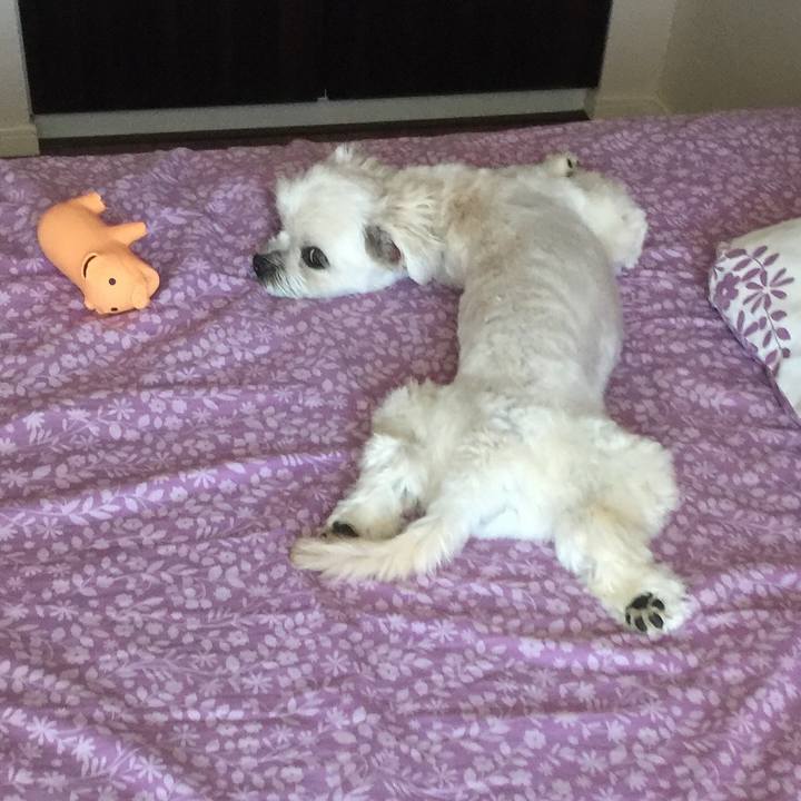 Ed64a13b db01 43b1 ba93 11bd59b95f48