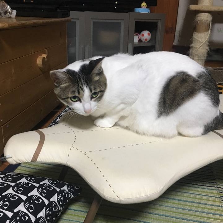 Ed651149 8e61 4f94 91cf ab125a407823