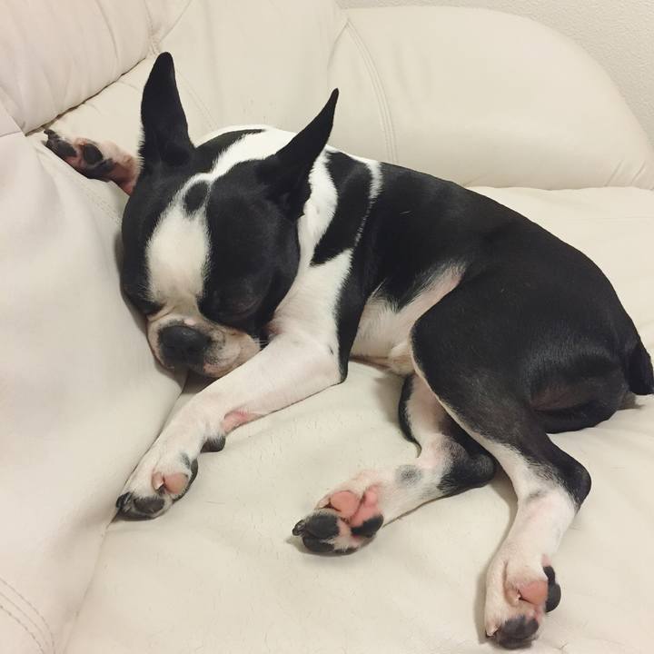 Ed656bfd e9c1 436e bf92 7350c1cec306