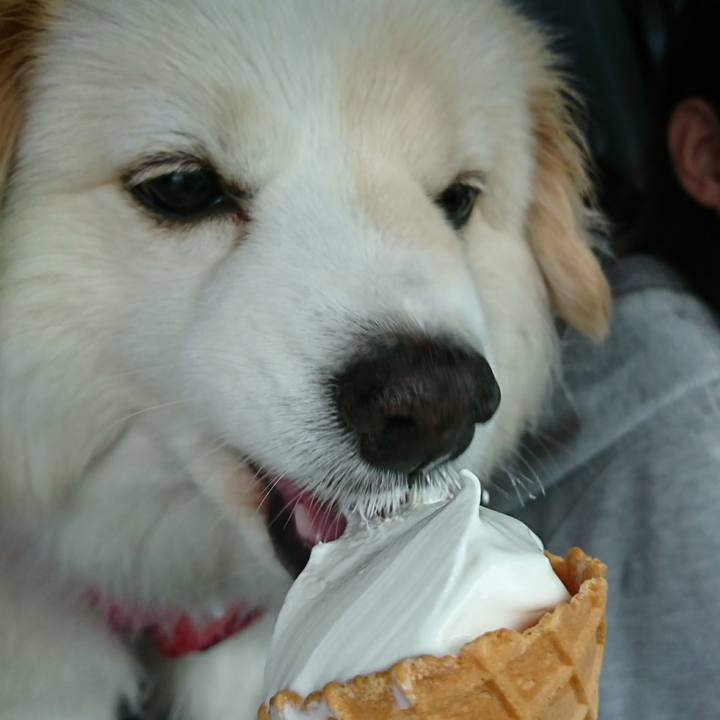 Ed657d2c 5572 4284 a88a 31d6f05cb8bf