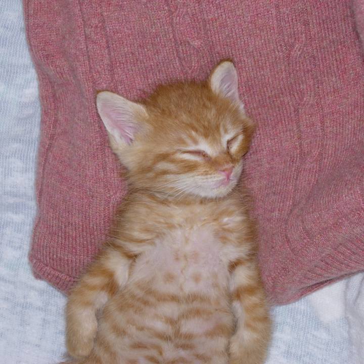 Ed65e125 6a9d 446d afa4 70d9cfd803c7