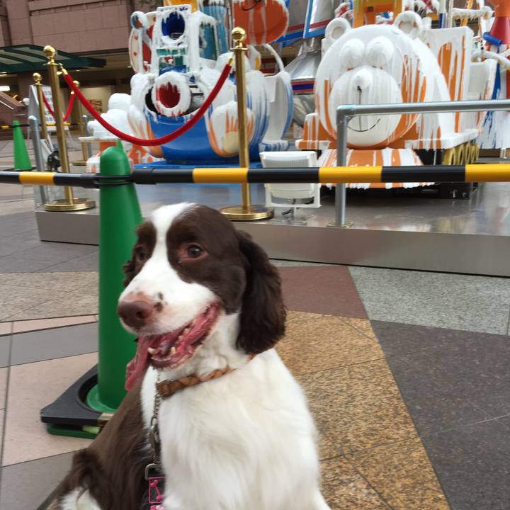 Ed667e3d 7550 4bf1 87d1 7eaf67ce79fb