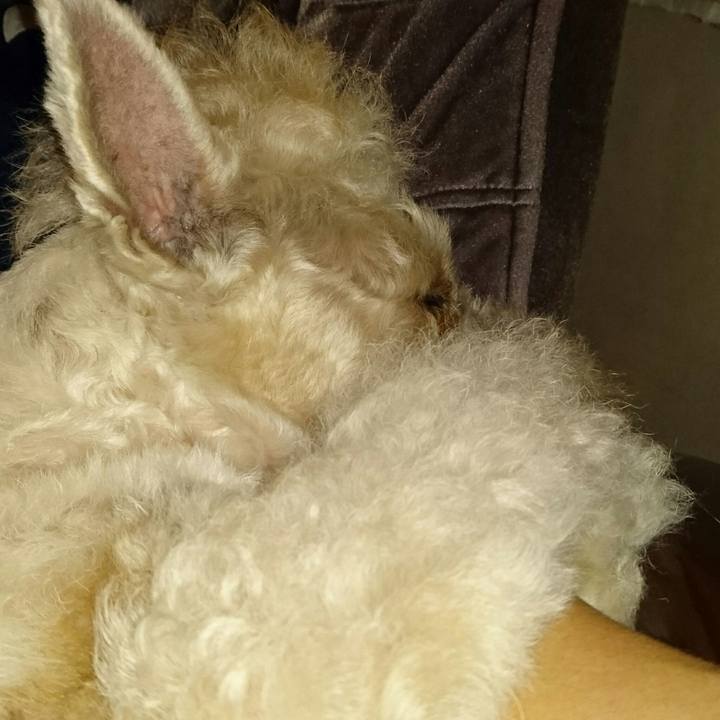 Ed66c43d b151 4d0f a5d1 f790389d673e