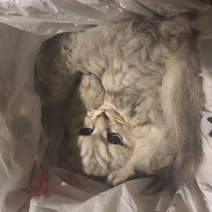 Ed675b3c af7b 4aa6 a986 d23319e24719