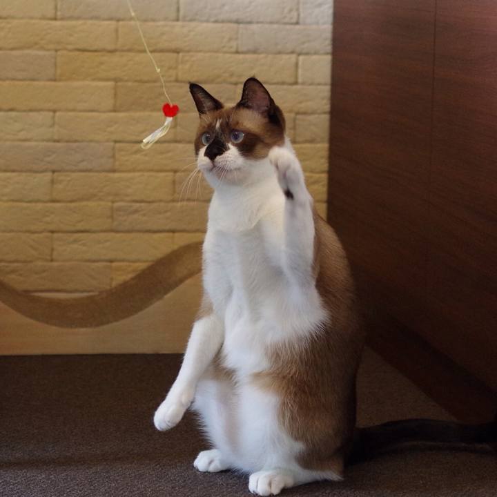 Ed67855e dc98 47ea a8e8 f174b638d9de