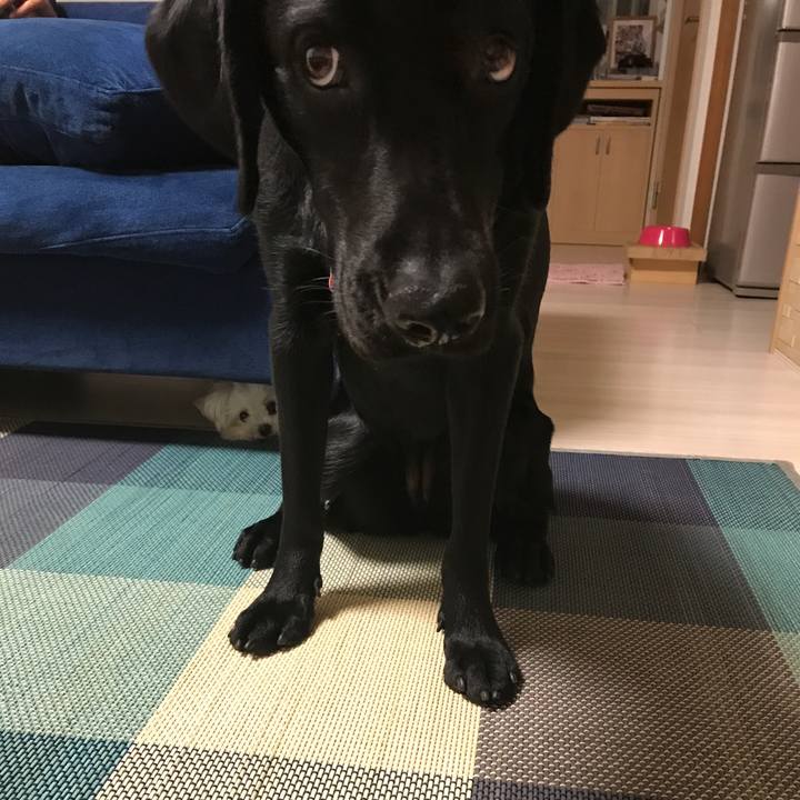 Ed6854a5 79b7 462d 9483 6ae78466eca7