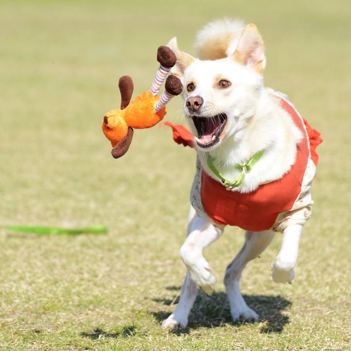 Ed687bb3 3c10 48e9 9f74 e859b67bfaea