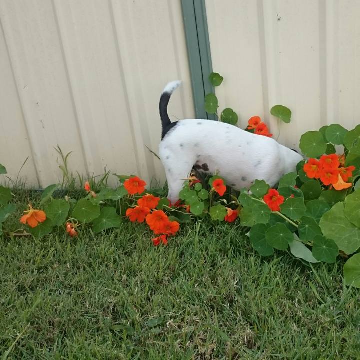 Ed68b6e9 7e51 47d1 8347 d0540537af49