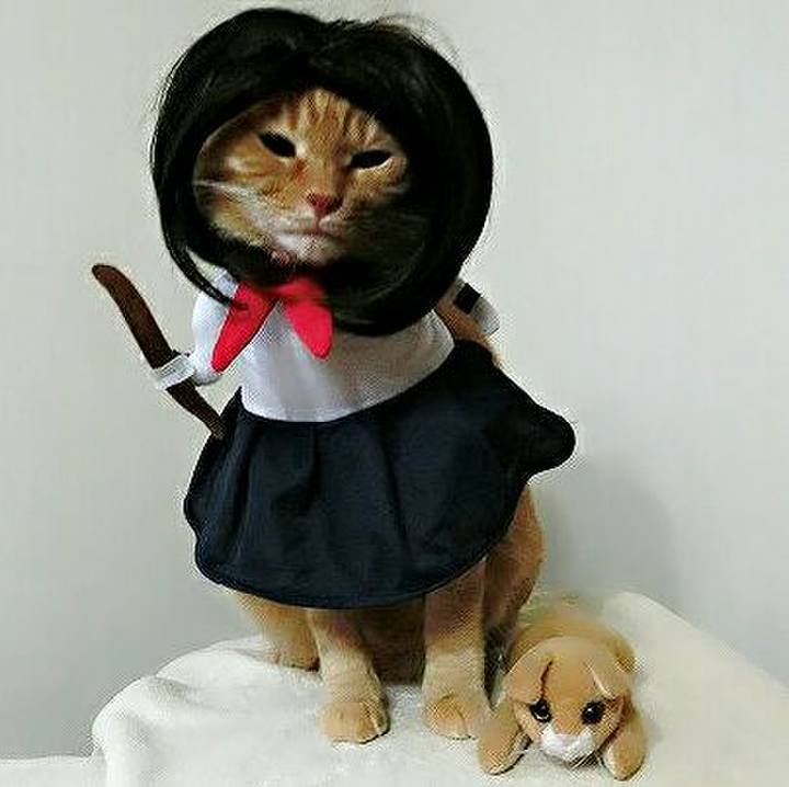 Ed69208b a962 48b0 9c8e e449243c297b