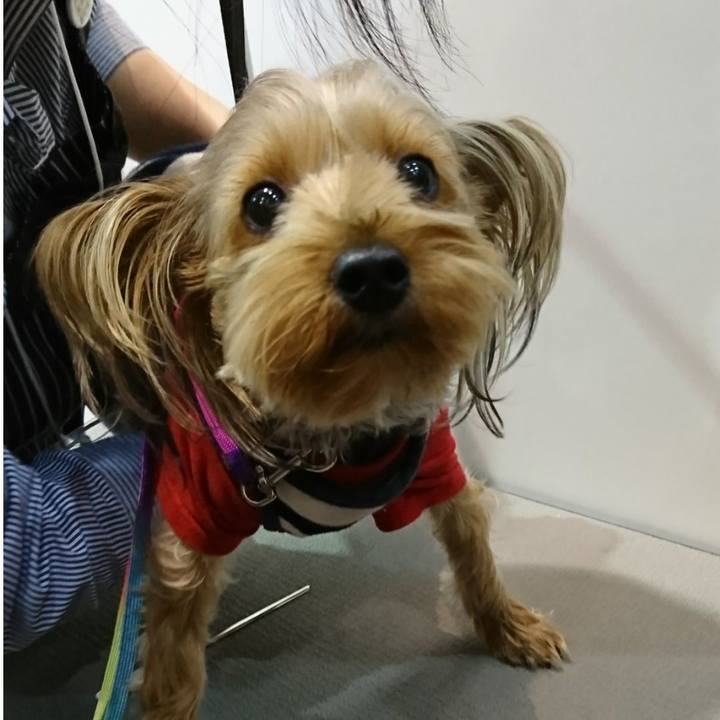 Ed6937a4 1a5e 4cbb 95b0 c99d342146ce