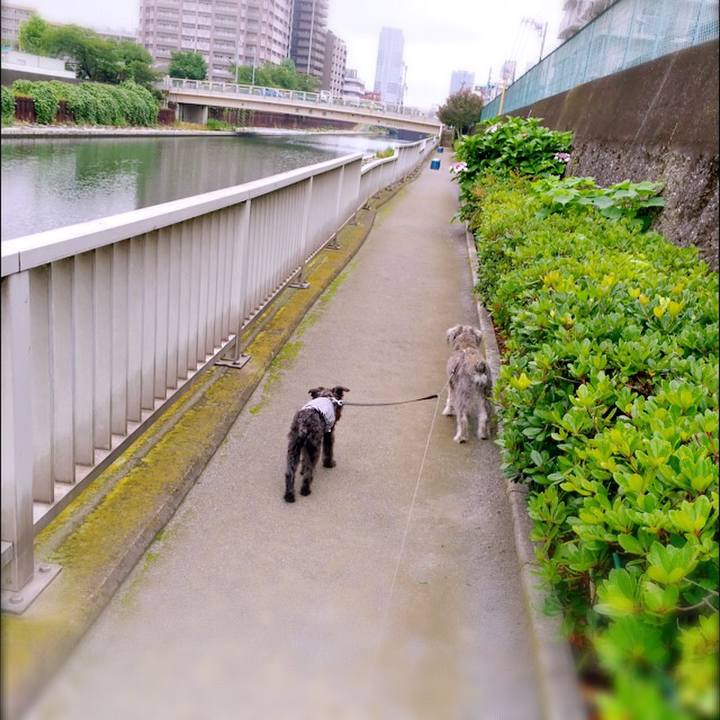 Ed6972ec d444 4f85 81ee d89ab2843d35